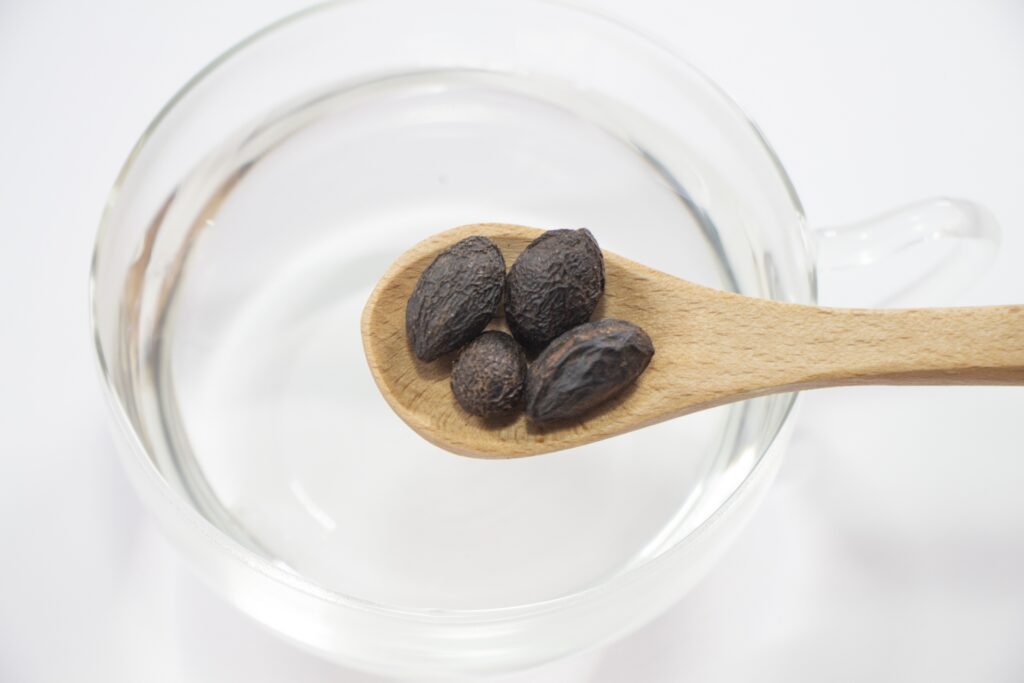 ノコギリヤシは本当に薄毛予防に効く？効果・副作用・上手な取り入れ方を解説